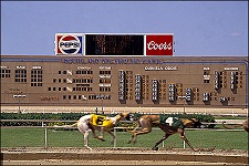 Southland Greyhound Park Gambling