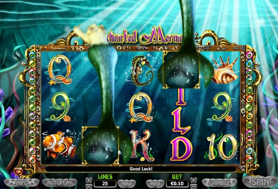Enchanted Mermaid