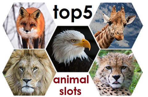 animal slots