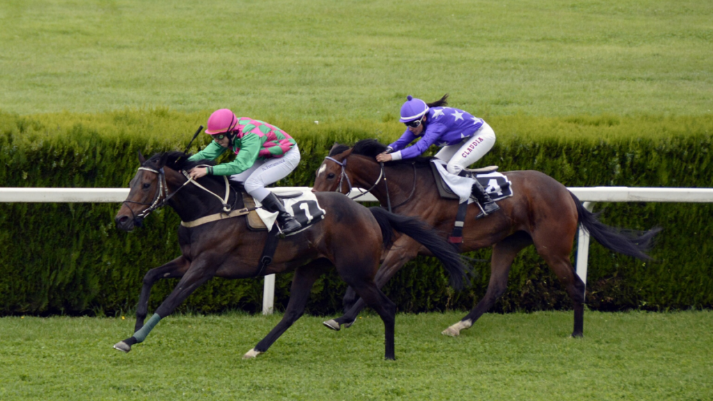 A picture of horse racers. There's two of them racing