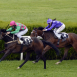 Where to Get Your Horse Racing Tips!