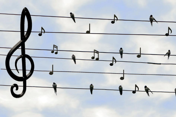 Musical notes on a wire to represent the effect of music on gambling experience 