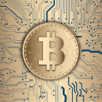 Bitcoin Casinos - 3 Things You Need to Know Before Playing