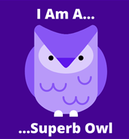 A cartoon picture of a purple and white owl (purple is our website's brand colours). It's captioned with "I am a superb owl". I don't want to ruin the pun, but it's because I just mentioned Superbowl and that is the exact same spelling as Superb Owl.