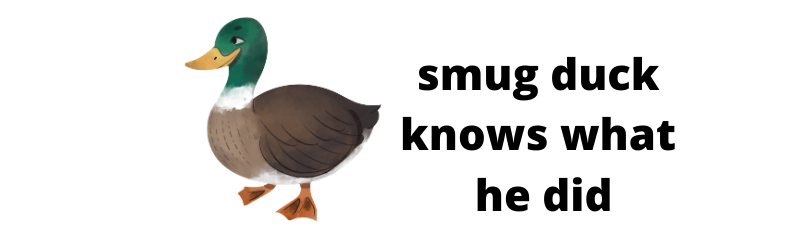 A picture of a cartoon duck that seems to have a smug look on his face. Theres some words next to the duck saying, "smug duck knows what he did".