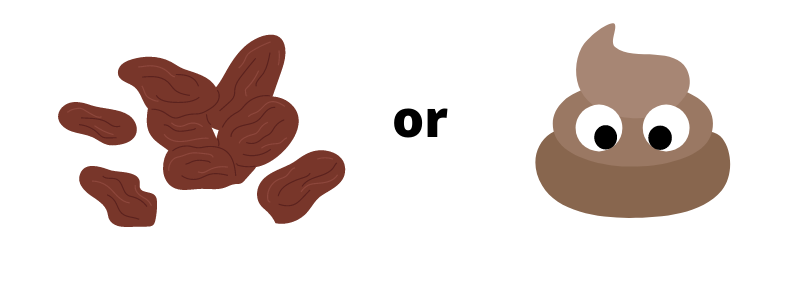 A cartoon of a pile of raisins on one side and an emoji poop on the other side with the word "or" in between them. So it looks like "raisin or poop" but in cartoon.